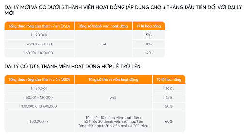 Cách tính hoa hồng đại lý BK8